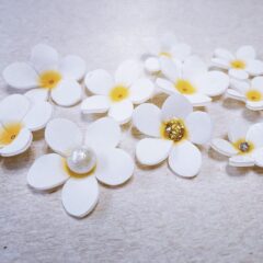 プルメリアの花をプラバンで試作