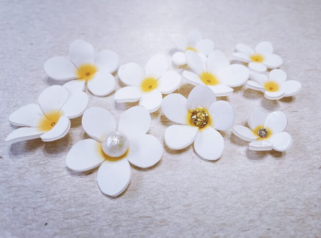 プラバンプルメリア