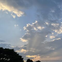 胆石が暴れ出した〜 その3