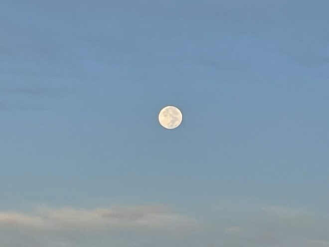 ハンターズムーン2