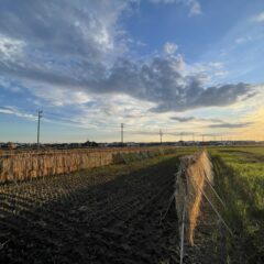 寒川写真コンクール入賞♪