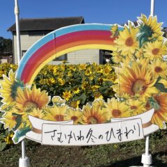 活動報告より〜「さむかわ冬のひまわり2023」出店